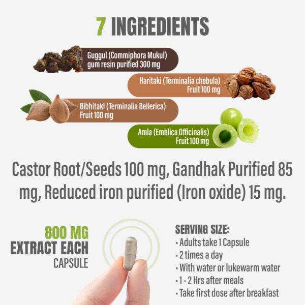 Simhanada Guggulu - Ayurvedic Herbal Supplement - 90 Vege Capsules - 800 Mg Each