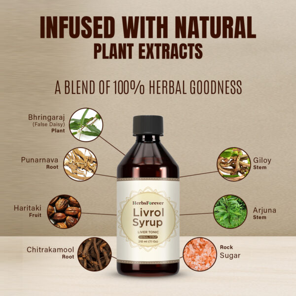 Livrol Syrup - 210 ml