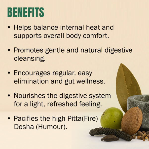 bnr3_avipatikar-churnas Avipatikar Churna Powder – 100 Gms