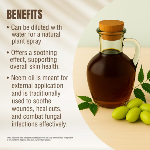 bnr3_neem-Oil-(60ml) Neem Oil - (Azadirachta Indica) - Cold pressed and double filtered in Muslin Cloth - 60 ml, 2.02 oz