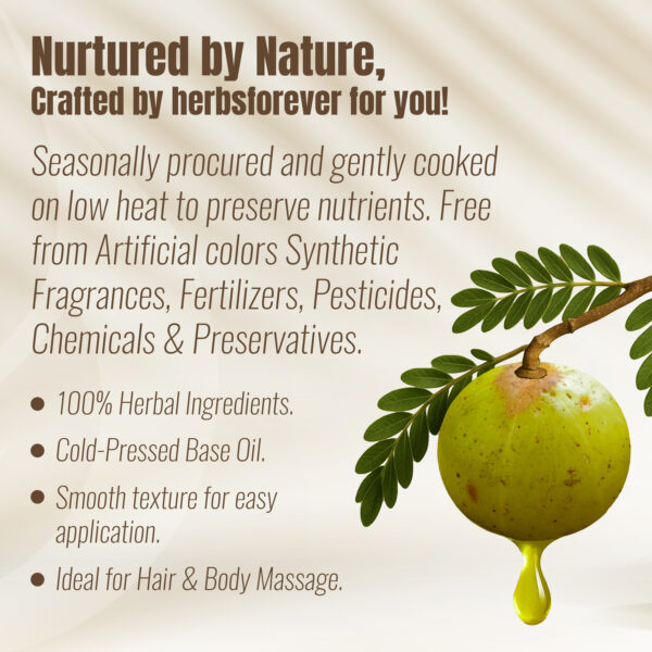 bnr4_Brahmi-Oil-(210ml) Brahmi Oil – (Bacopa Monnieri) - Processed with Sesame Oil - Cold pressed and double filtered in Muslin Cloth - 210 ml (7.11 oz)