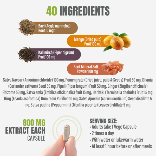 bnr2_digestive-care_90Caps Digestive Care Capsules - Ayurvedic Herbal Supplement – 90 Vege Capsules – 800 Mg Each