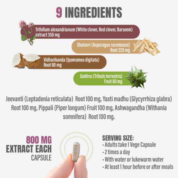 bnr2_femina-30-plus_90Caps Female 30 Plus Capsules - Ayurvedic Herbal Supplement – 90 Vege Capsules – 800 Mg Each