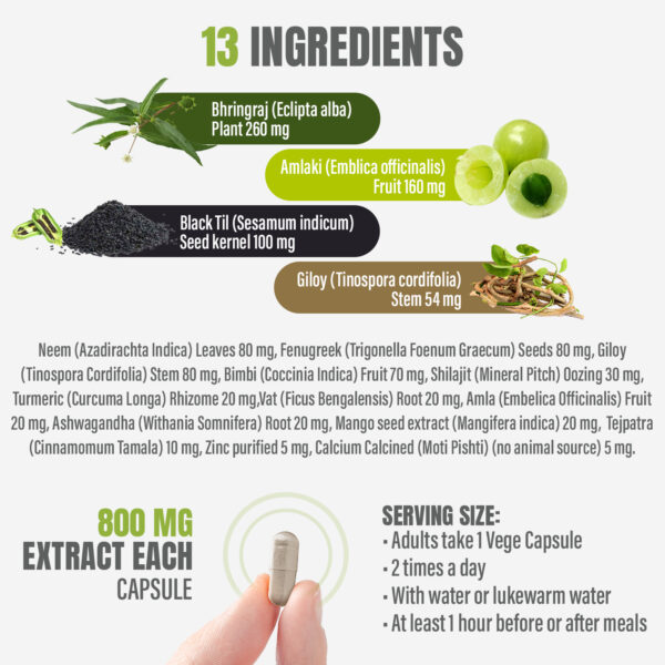 bnr2_hair_health_90Caps Hair Health Capsules - Ayurvedic Herbal Supplement – 90 Vege Capsules – 800 Mg Each