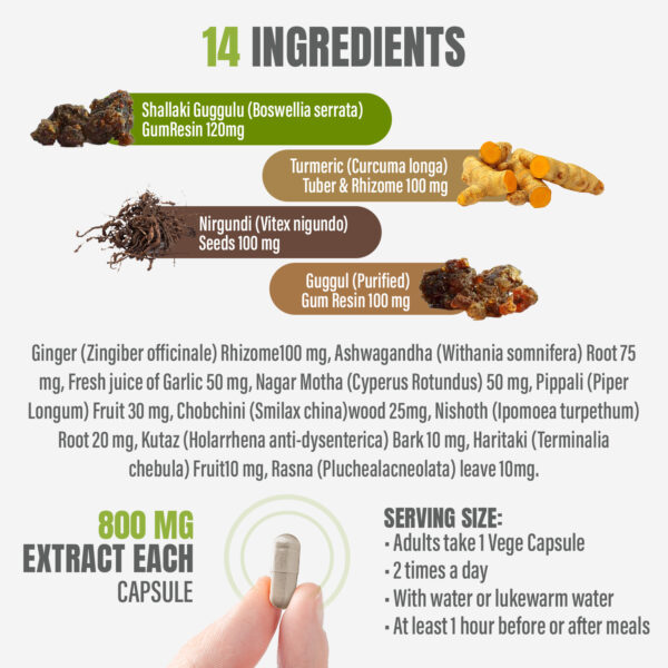 Joint Health Capsules - Ayurvedic Herbal Supplement - 90 Vege Capsules, 800 mg each