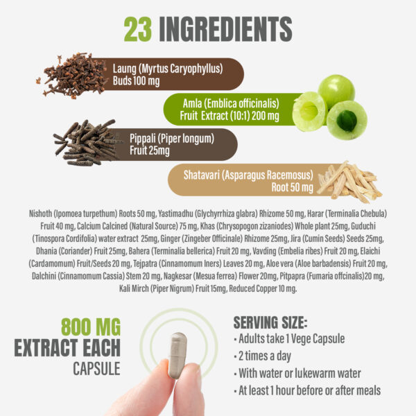bnr2_netacid_90Caps Netacid Capsules - Ayurvedic Herbal Supplement – 90 Vege Capsules – 800 Mg Each