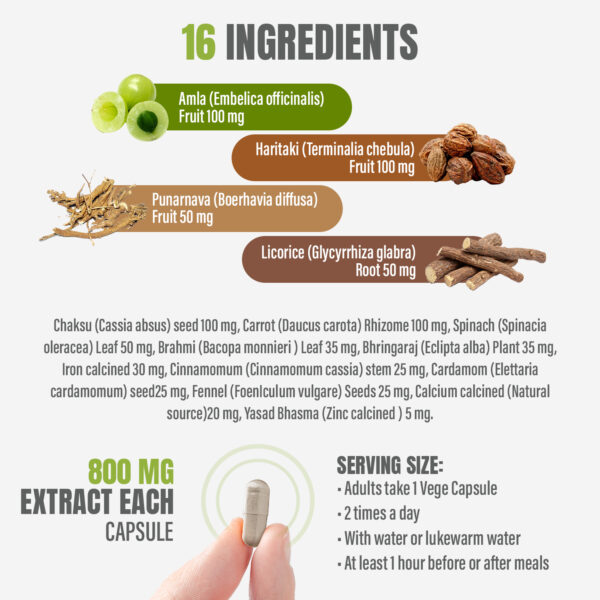 Optica Capsules - Ayurvedic Herbal Supplement – 90 Vege Capsules – 800 Mg Each