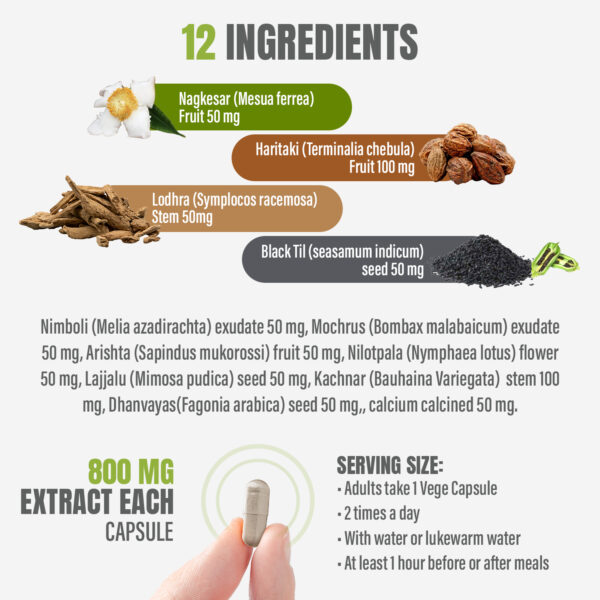 Palvorin Capsules - Ayurvedic Herbal Supplement – 90 Vege Capsules – 800 Mg Each