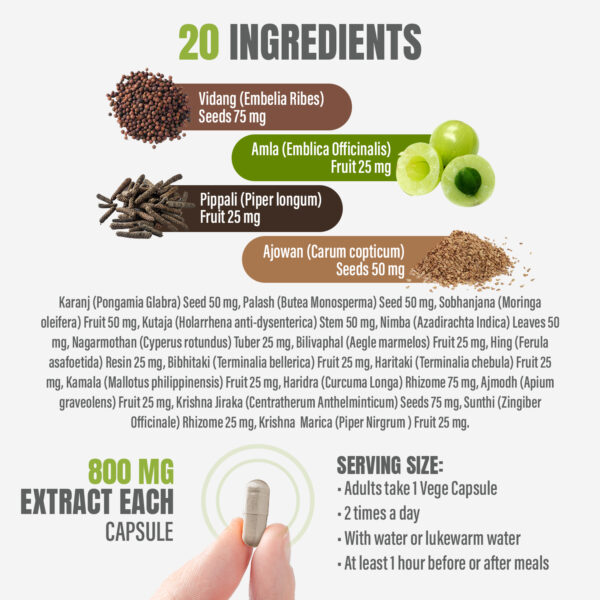 Para Cleaner - Ayurvedic Herbal Supplement – 120 Vege Capsules – 800 Mg Each