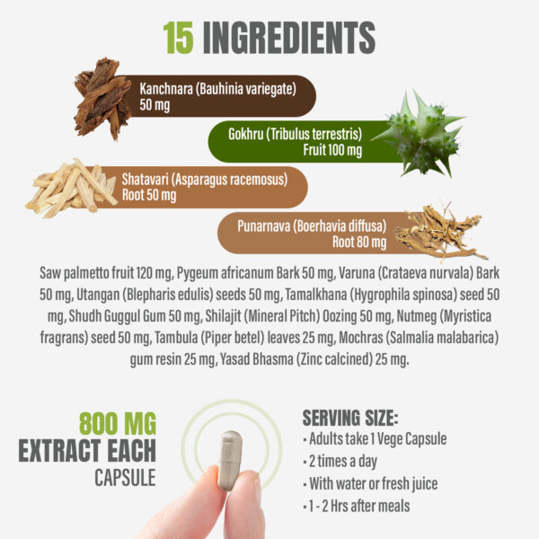 Prostaid Capsules - Ayurvedic Herbal Supplement (90 Vege Capsules – 800 Mg Each)