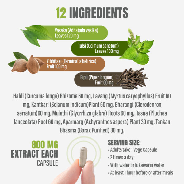 Respiton Capsules - Ayurvedic Herbal Supplement (90 Vege Capsules – 800 Mg Each)