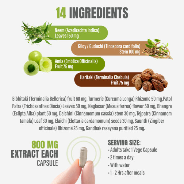 bnr2_silfina-MTL -detox_90Caps Silfina MTL Detox Capsules - Ayurvedic Herbal Supplement (90 Vege Capsules – 800 Mg Each)